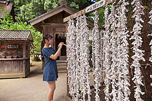 美女,穿,蓝色,衣服,系,占卜,纸,日本神道,神祠,福冈,日本