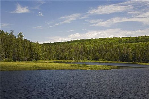 阿尔冈金省立公园,安大略省,加拿大