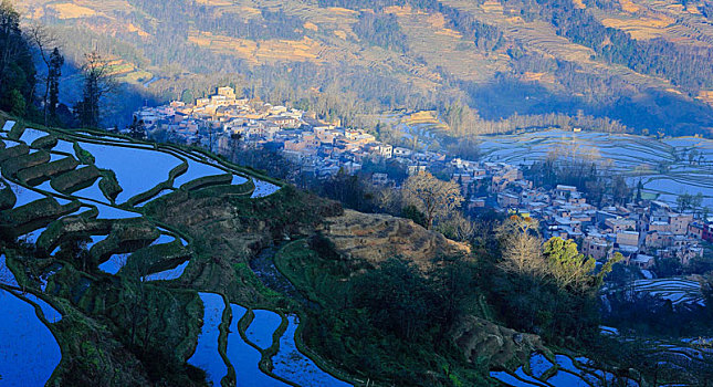 元阳梯田