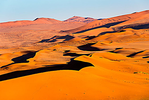 索苏维来地区,纳米布沙漠,沙丘,金色,钟点,纳米比亚,非洲