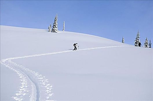 男人,边远地区,滑雪,不列颠哥伦比亚省,加拿大