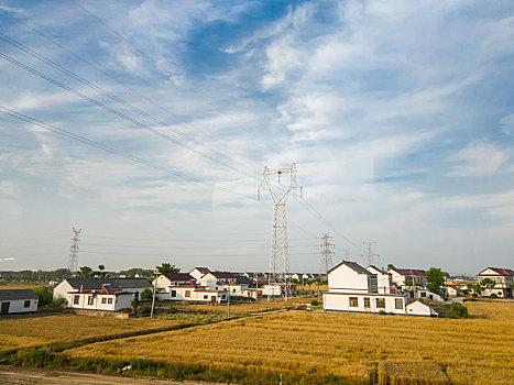 夏日苏北田园风光