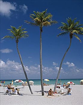 迈阿密海滩,迈阿密,佛罗里达,美国