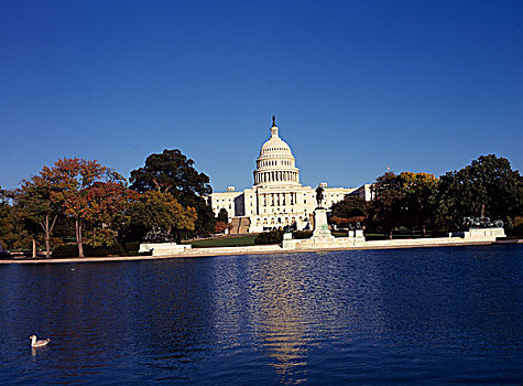 水池,正面,政府建筑,国会大厦建筑,华盛顿特区,美国