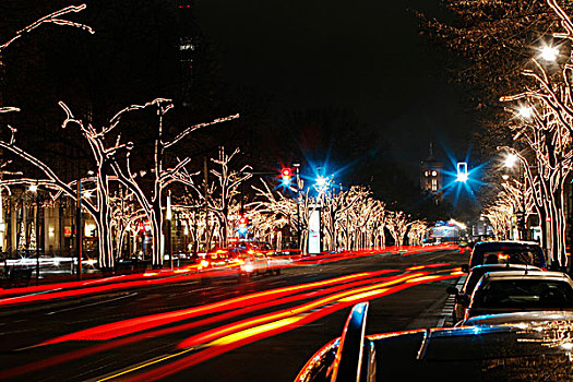 交通,圣诞节,装饰,菩提树,柏林,德国