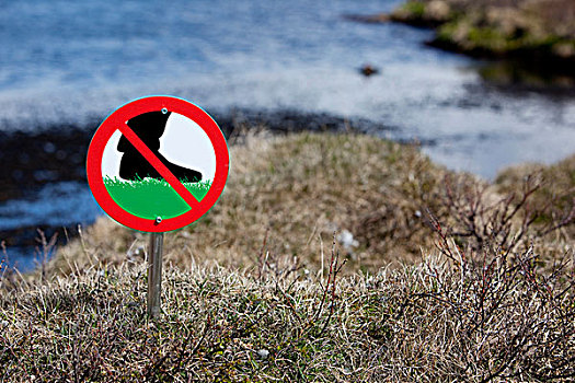 禁止标志,米湖,北方,冰岛,欧洲