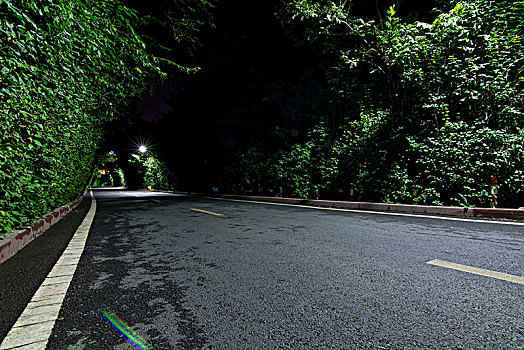 林荫道夜景道路特写