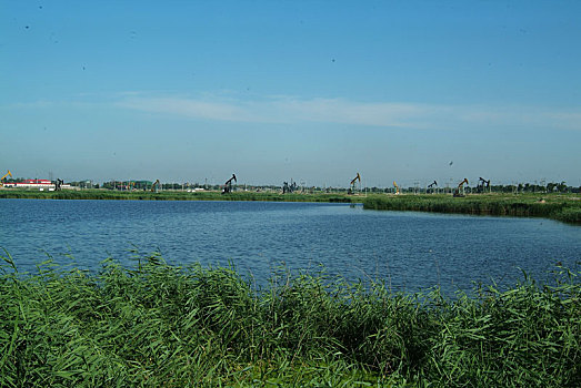 大庆油田,采油,景观