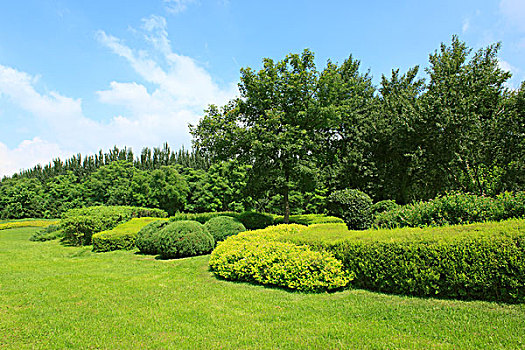 城市园林景观