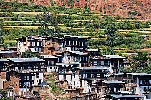 传统,乡村,房子,廷布,区域,不丹