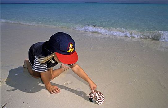 孩子,发现,壳,鹦鹉螺,新加勒多尼亚