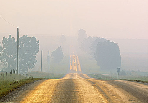 公路,森林火灾,烟,靠近,克雷默那,艾伯塔省,加拿大
