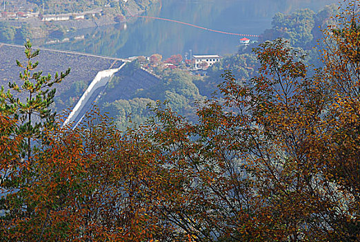 山梨县