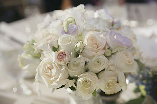 花束,白色,玫瑰