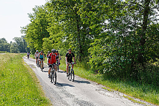 骑车,自行车道,南方,布尔根兰,奥地利,欧洲