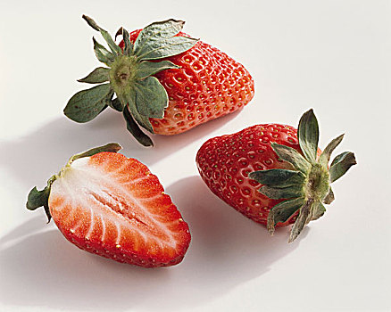 草莓,品种,摩洛哥