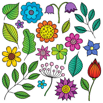 绘画,花,叶子