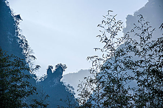 湖北秭归三峡竹海天水峡