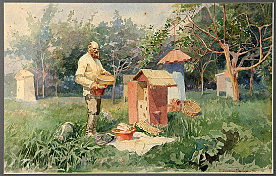 蜜蜂,院子,艺术家