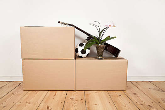 搬箱子,吉他,球,花