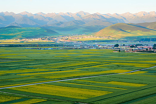 山村