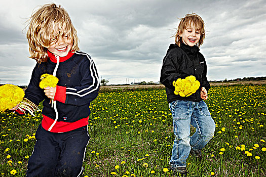 两个男孩,摘花,瑞典