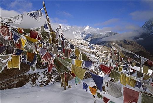 冰冻,向上,经幡,干城章嘉峰,十四,顶峰,锡金,喜马拉雅山,印度