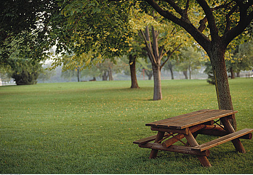 野餐桌,树,地点,高,公园,多伦多,安大略省,加拿大