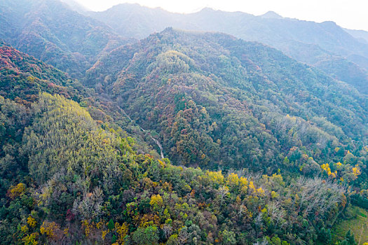 秦岭山秋景