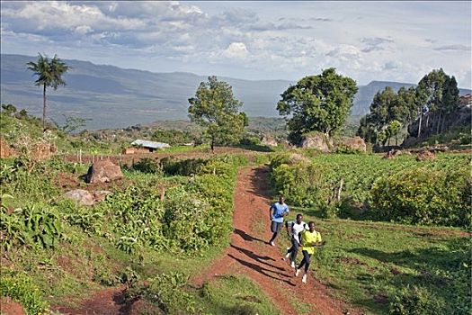 肯尼亚,地区,远距离,跑步者,高海拔,训练,露营