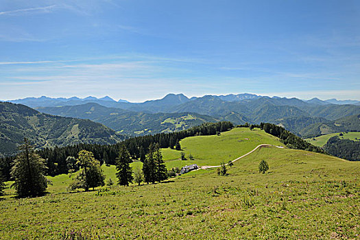 高山牧场,上奥地利州,奥地利,欧洲