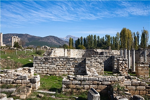 阿芙洛蒂西亚斯,阿芙罗狄蒂,寺庙