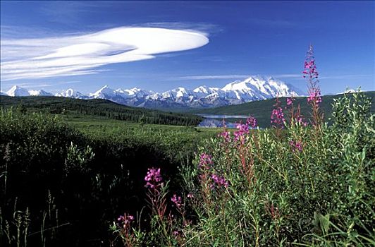 麦金利山,德纳里峰国家公园,阿拉斯加,美国