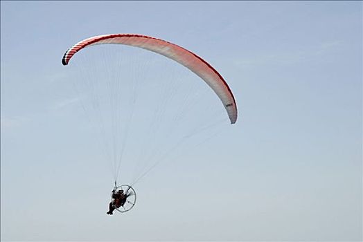 滑翔伞,海滩,马略卡岛,巴利阿里群岛,西班牙,欧洲