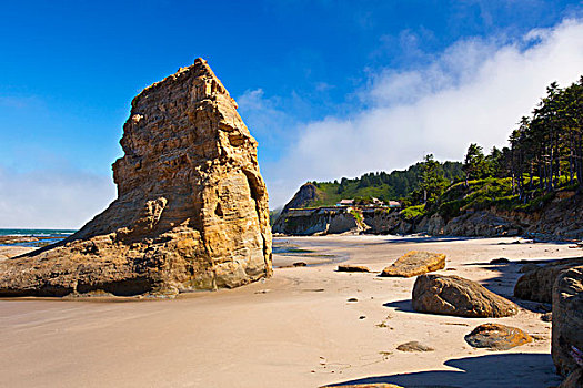 退潮,岩石构造,水獭,石头,海滩,俄勒冈,美国