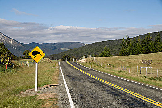 道路,标识,提示牌,几维鸟,南岛,新西兰