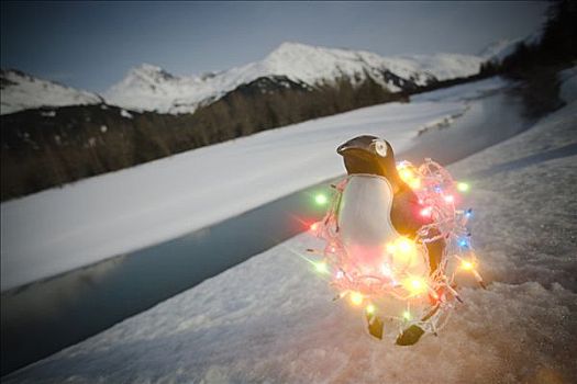 塑料制品,企鹅,圣诞树,坐,河岸,冬天,阿拉斯加