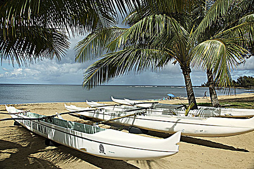 夏威夷,瓦胡岛,排,舷外支架,独木舟,海滩
