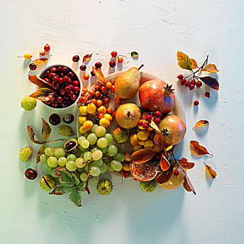 秋天,安放,葡萄,梨,野玫瑰果,石榴