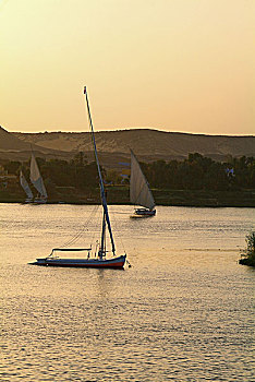 埃及,尼罗河,帆船,傍晚,非洲,头部,目的地,度假,船,黃昏,彩色,黄色