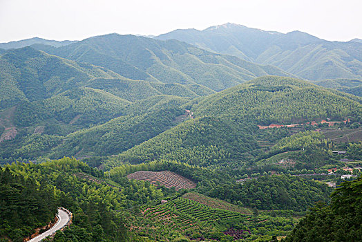 山,树林,雾气,云海,氤氲,绿色,树木,乡村