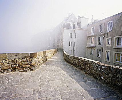街道,雾,布列塔尼半岛,法国,欧洲