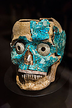 头骨,博物馆,文化,瓦哈卡,墨西哥