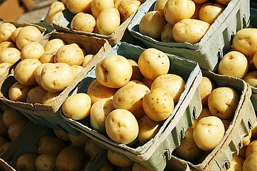 有机,土豆,农贸市场
