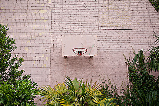 篮篮,篮板,粉色,墙壁
