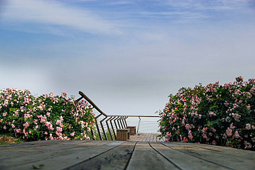 面朝大海,春暖花开,海天一色