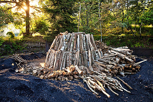 木碳,堆,原木,北莱茵威斯特伐利亚,德国,欧洲