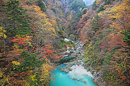 秋叶,山谷