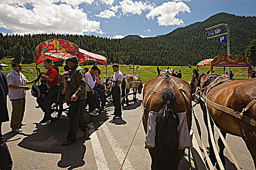 驴,手推车,游客,南山,牧场,乌鲁木齐,新疆,维吾尔,地区,丝绸之路,中国