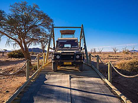 陆虎,穿过,木桥,荒野,自然保护区,边缘,纳米布沙漠,区域,纳米比亚,非洲